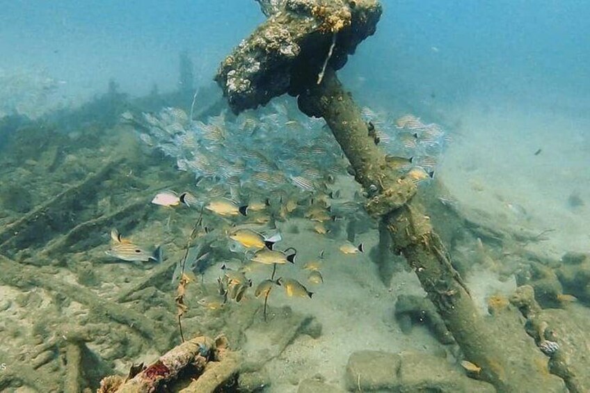 Scuba Diving at Unawatuna