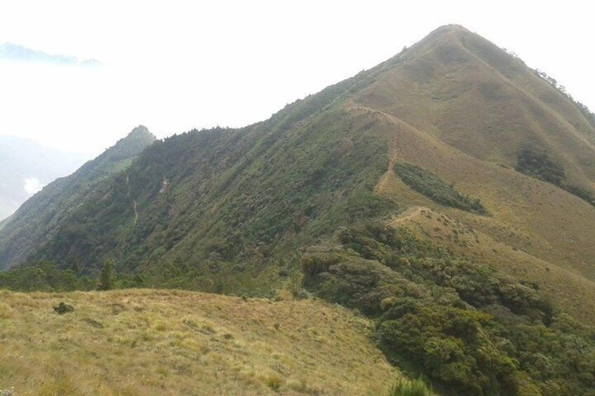 Meesapulimala day trek