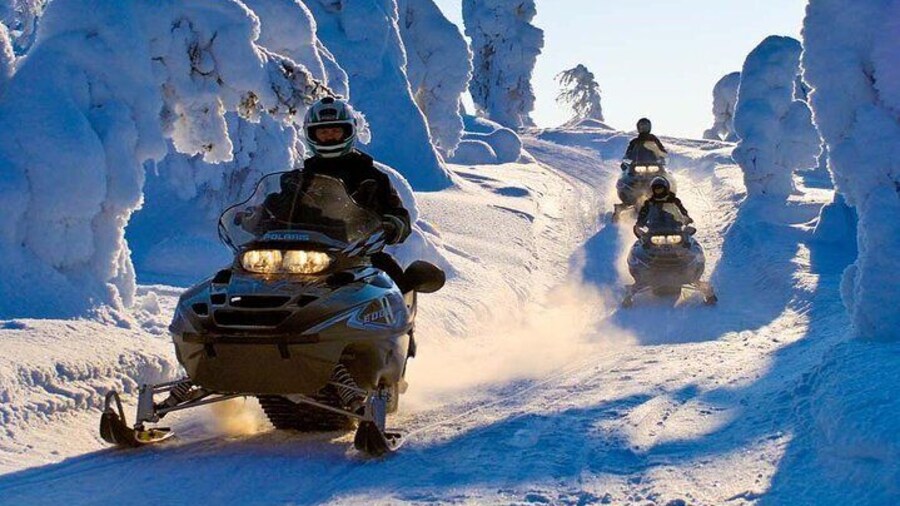 Lapland Snowmobile Safari from Rovaniemi