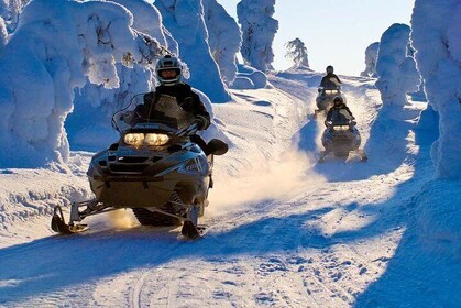 Lapland Snowmobile Safari from Rovaniemi