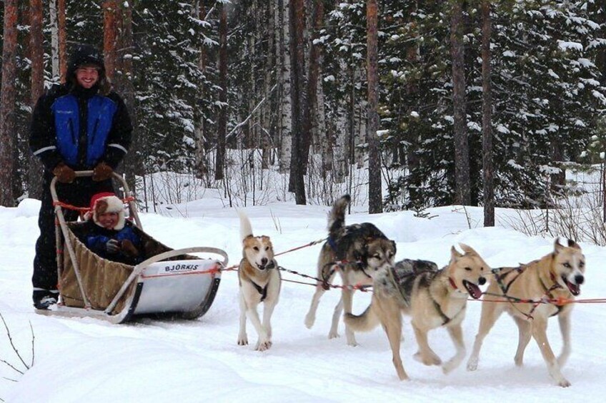 Lapland Husky Safari from Saariselkä