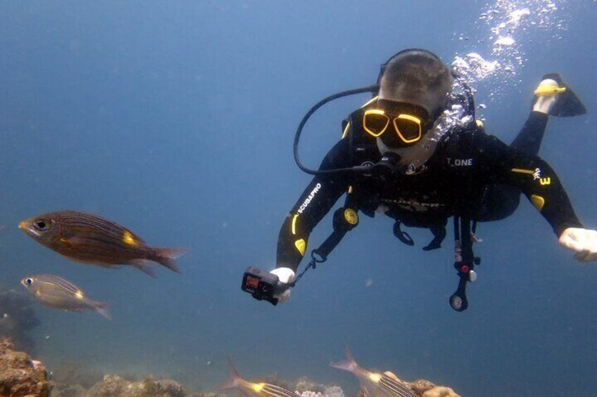 Discover Scuba Diving Experience