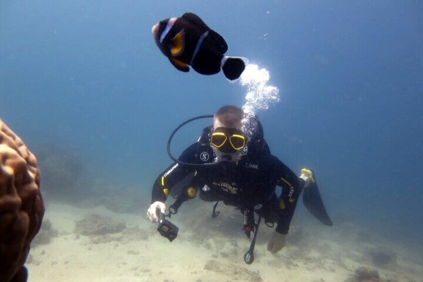 Discover Scuba Diving Experience