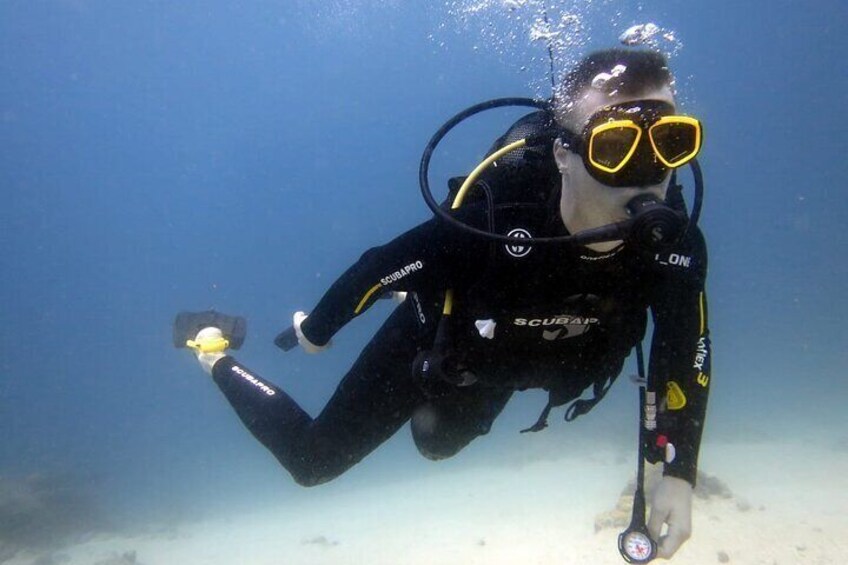 Discover Scuba Diving Experience