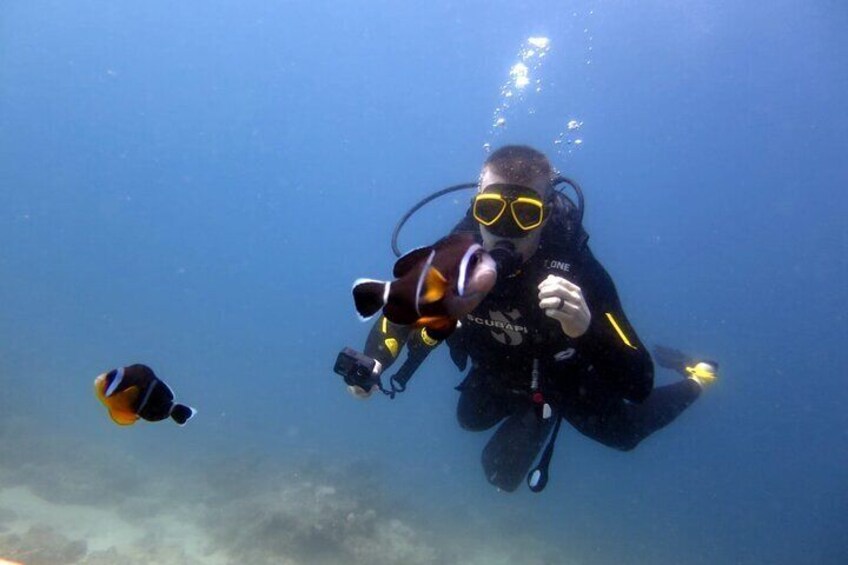 Discover Scuba Diving Experience