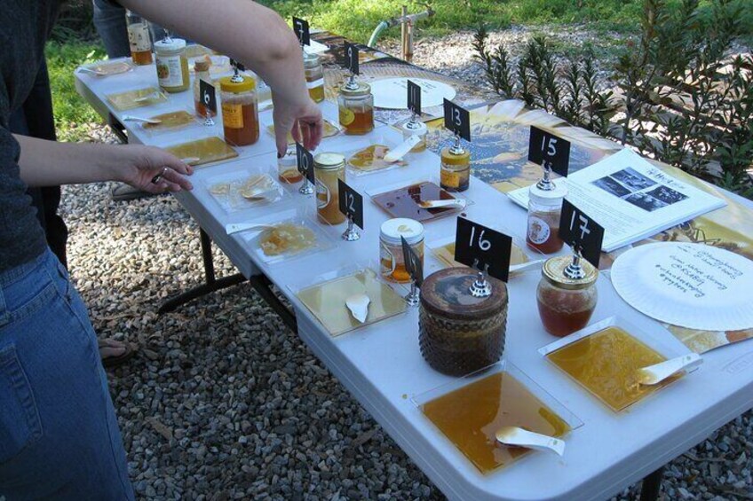 Honey Tasting