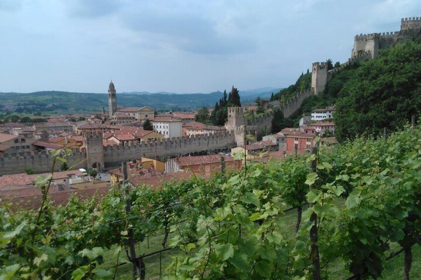 Amarone-Soave wine tour. Visit Verona. From Venice