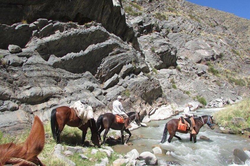 Horse riding for experienced riders at the foot of the Andes