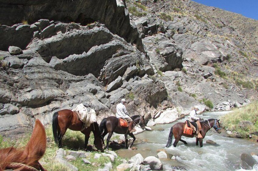 Horse riding for experienced riders at the foot of the Andes Horse riding for experienced riders at the foot of the Andes