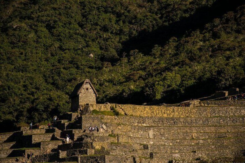 machu picchu tours 