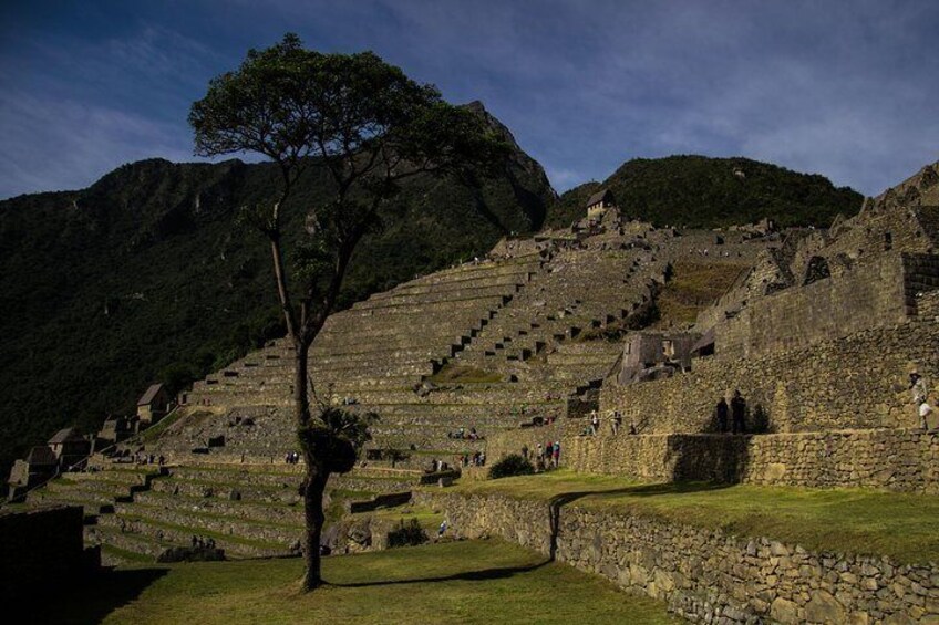 machu picchu trips