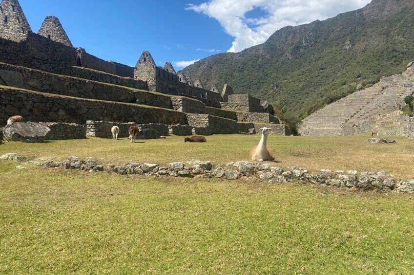 Machu picchu Tour one Day ( From Cusco) 