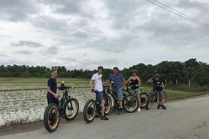 Full-day E-bike adventure Ping River and Nam Phrae (flat-hilly, GUIDED)