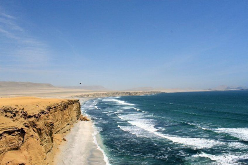 PRIVATE TOUR from Lima to Oasis and ballestas Island(make your own schedule)