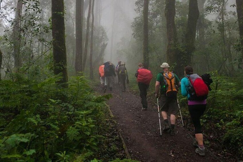 Mt Kilimanjaro Day Hike