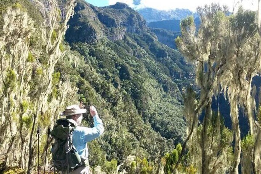 Mt Kilimanjaro Day Hike