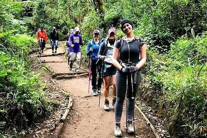 Mt Kilimanjaro Day Hike