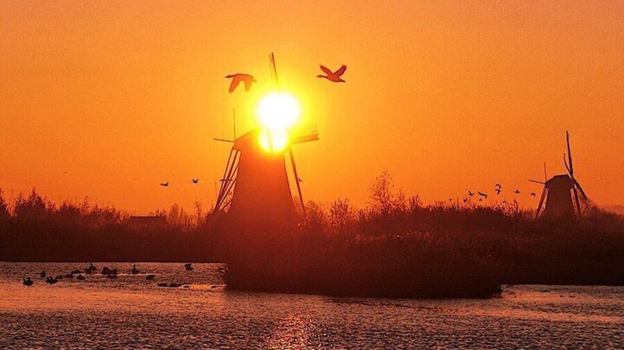 Kinderdijk Photography tour