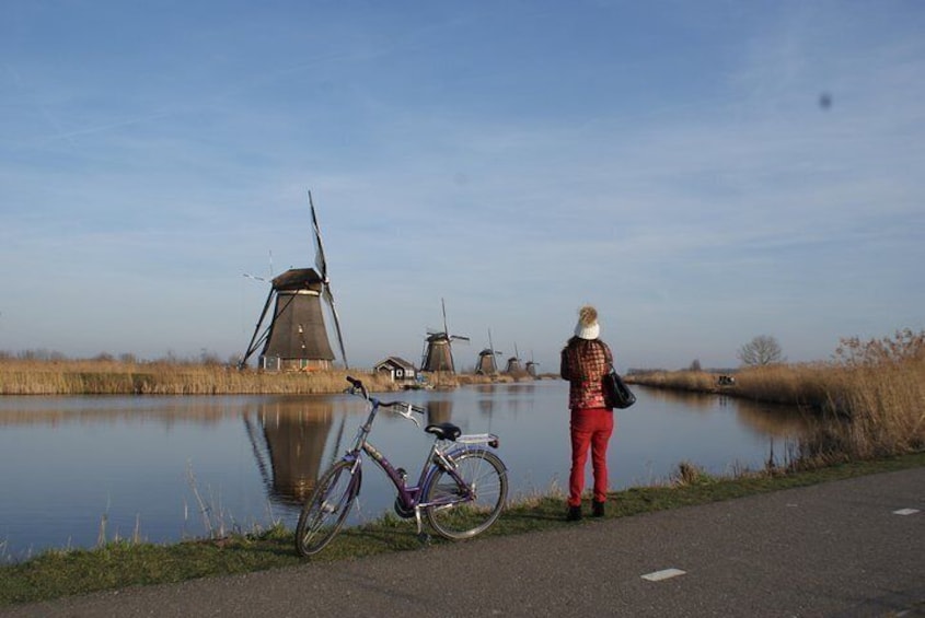 Kinderdijk Bike Tour