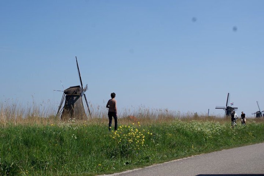 Kinderdijk Area Cycling Tour