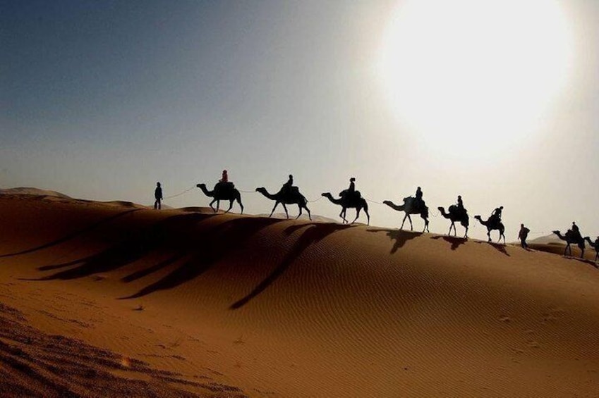 Quad Safari Trip