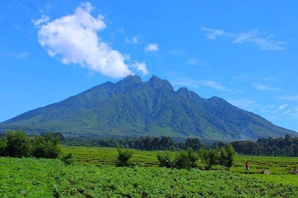 Paseo escénico por los volcanes.
