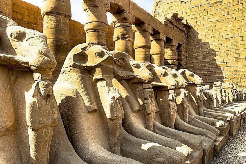 Luxor from Hurghada, Karnak, Hatshepsut, vallay of the King