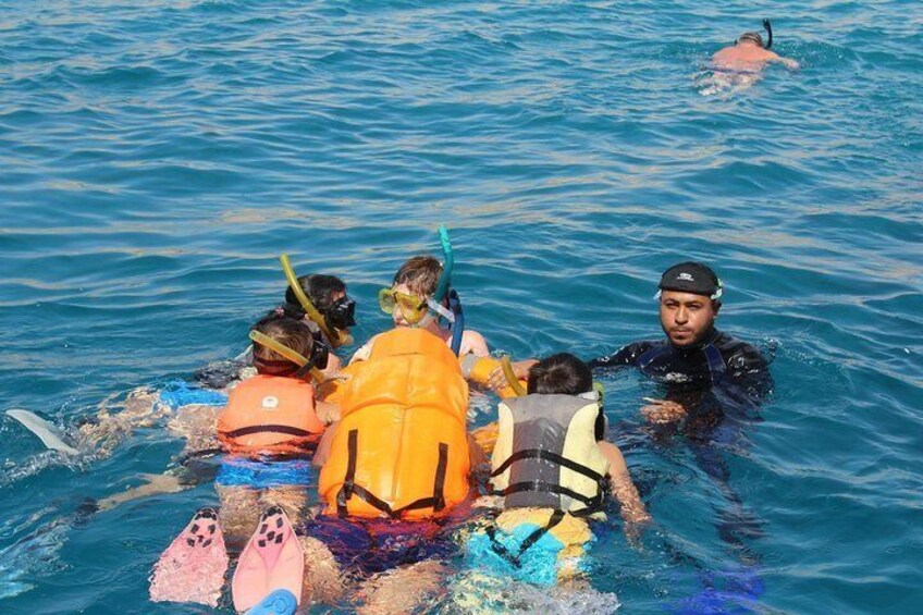Abu dabab swim with turtles