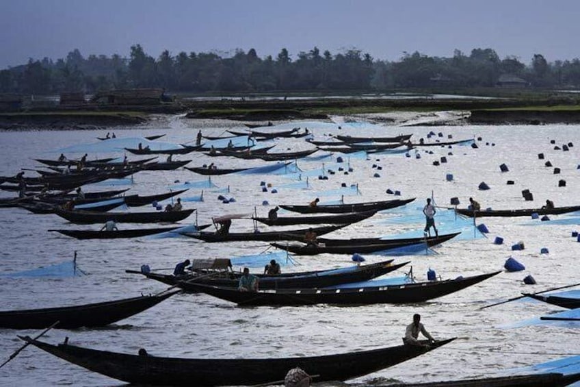 Bangladesh: The Ganges Brahmaputra Delta Life from Barisal