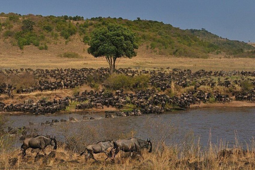 5 Days/4 Nights Kenya Safari