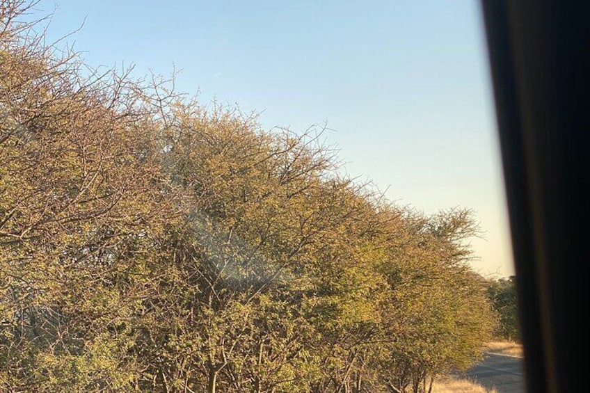 Daan Viljoen Reserve Hike