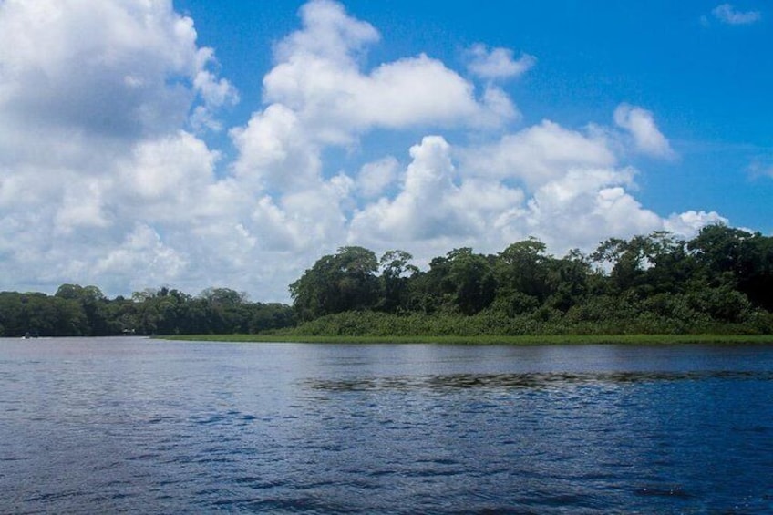 A mysterious river and canals that hosts many exotic creatures. 