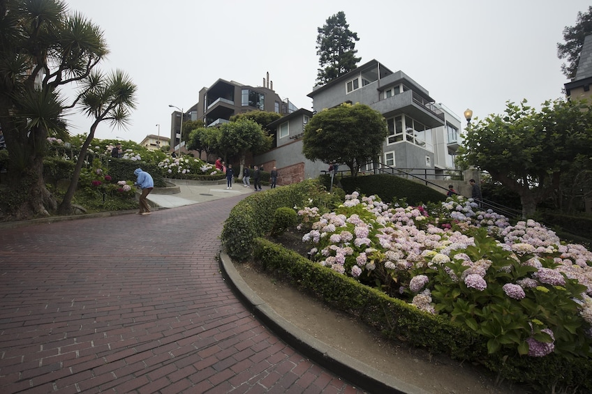 Lombard Street in San Francisco