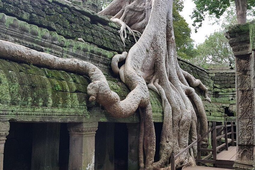 Ta promh temple