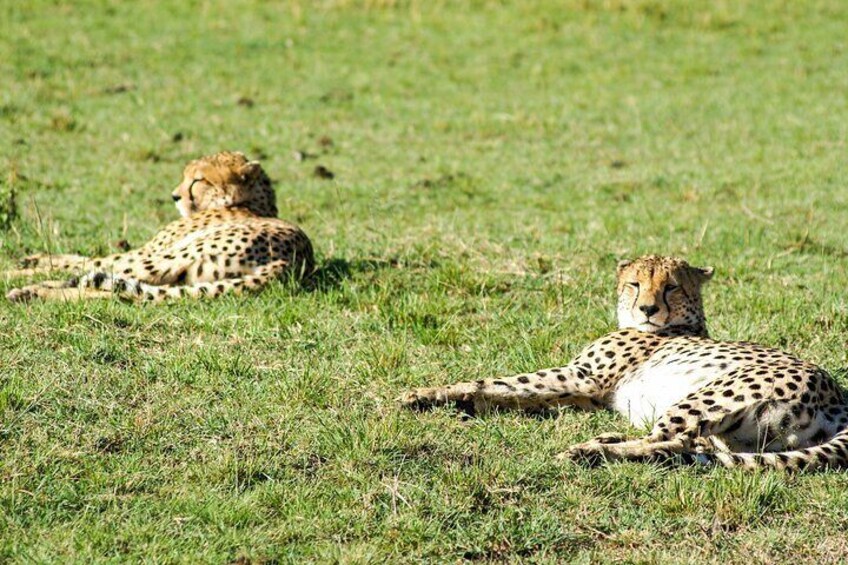 2 Days Safari To Queen Elizabeth National Park Uganda