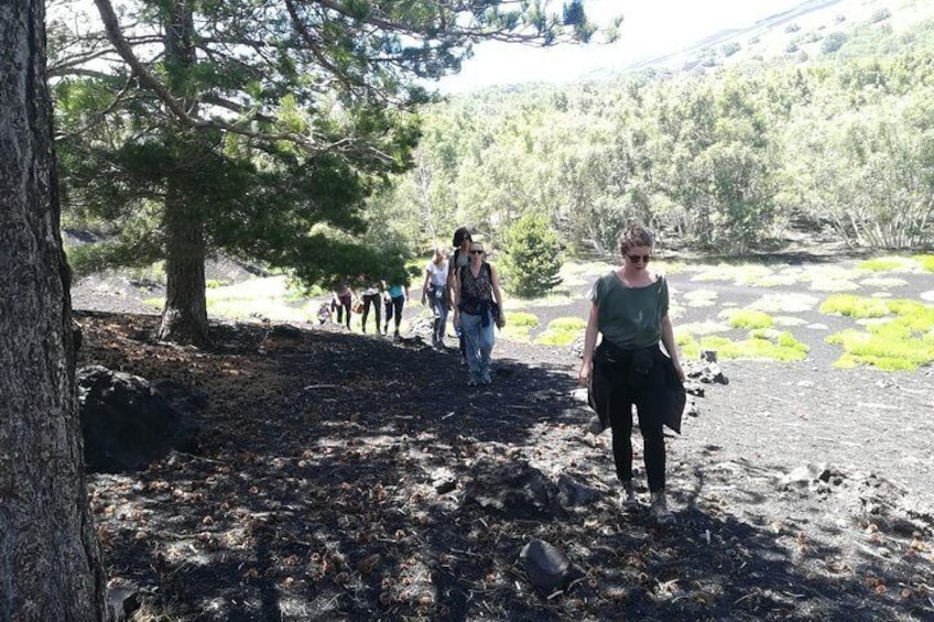 Trekking in nature