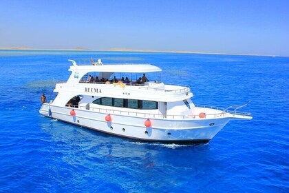 Ras Mohamed & White Island Snorkelling Experience by Yacht