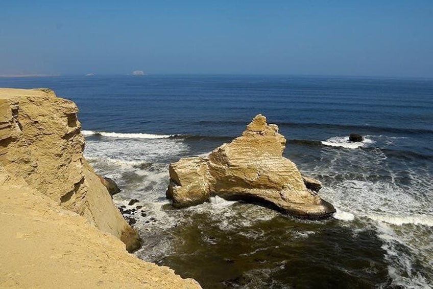 Private Full day Tour Paracas from San Martin Port