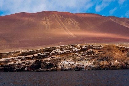 Full Day Group Tour Paracas and Ica from Lima