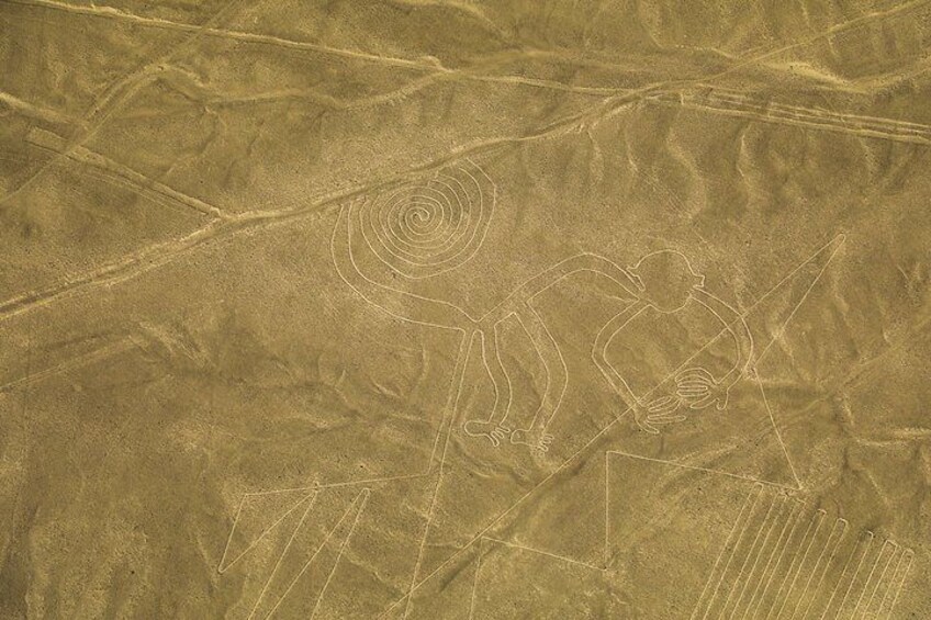 nazca Lines monkey