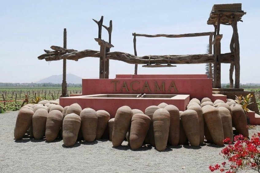 Tacama Wineyard