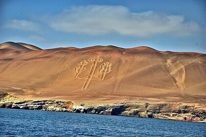 Ballestas Islands and Paracas Reserve from San Martin Port