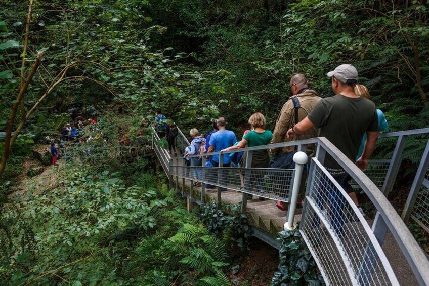 Canyon & Caves group tour from Tbilisi