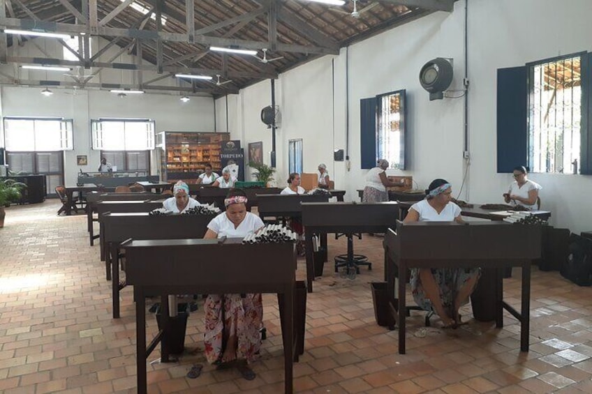 Dannemann factory: hand rolled cigars