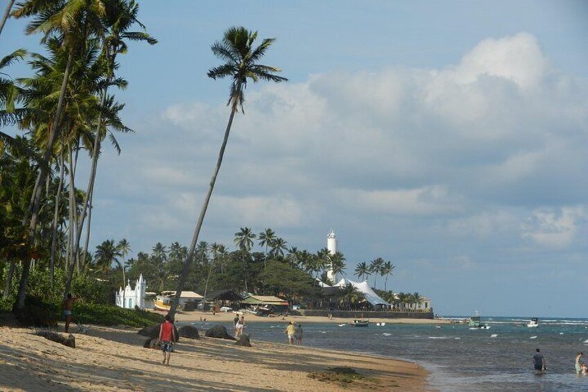 Praia do Forte: beach view