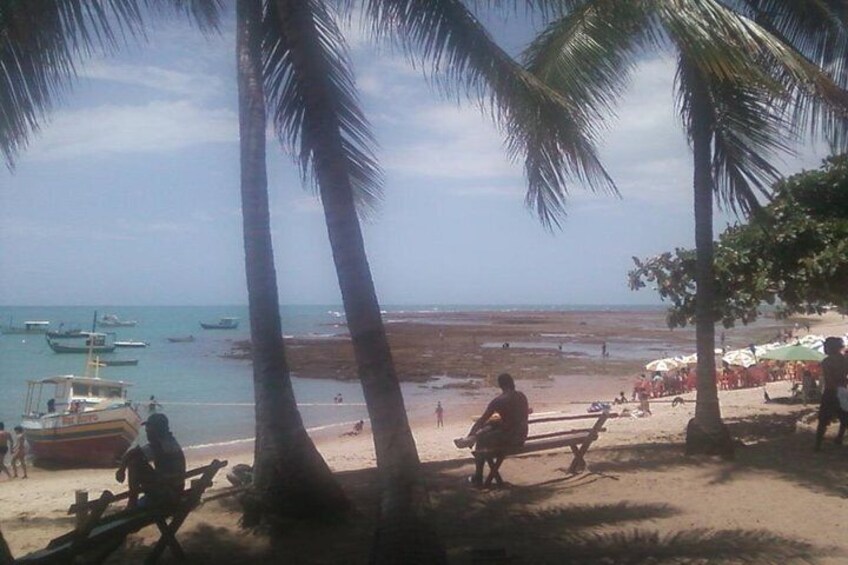 Praia do Forte - beach view