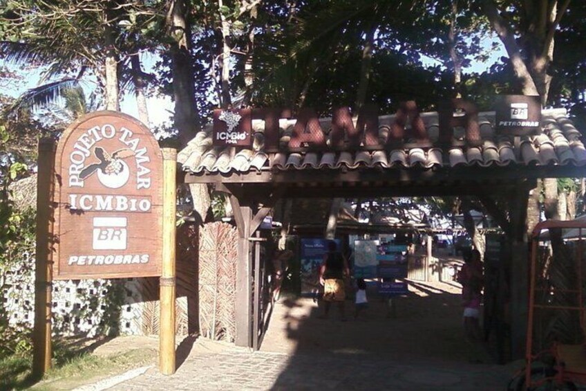 Projeto Tamar: entrance