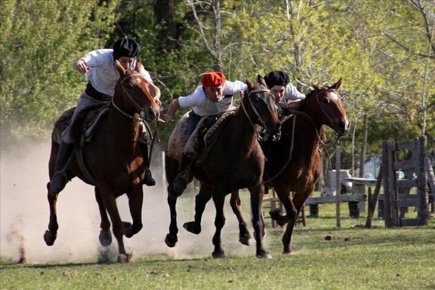 Gaucho Day Tour Ranch in San Antonio de Areco from Buenos Aires