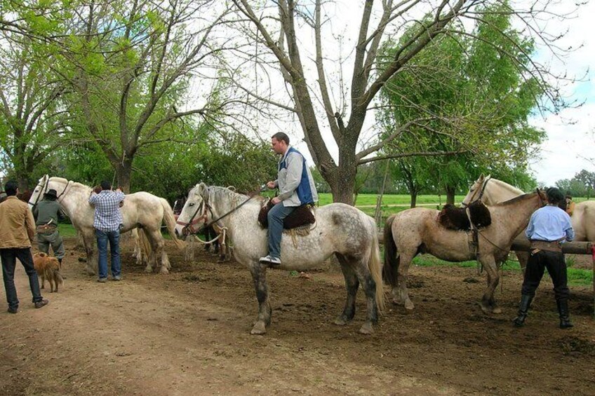 Gaucho Day Tour Ranch in San Antonio de Areco from Buenos Aires
