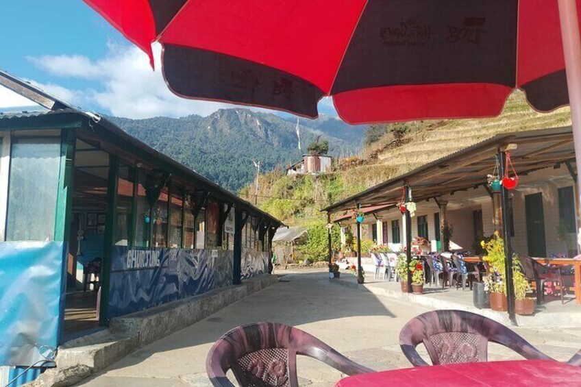 Annapurna: 3 Days Poon Hill Trek (to Kimche & from Hile with 4WD)